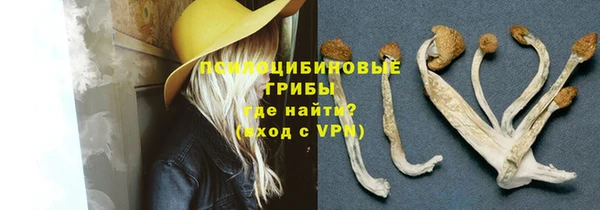 шишки Алексин