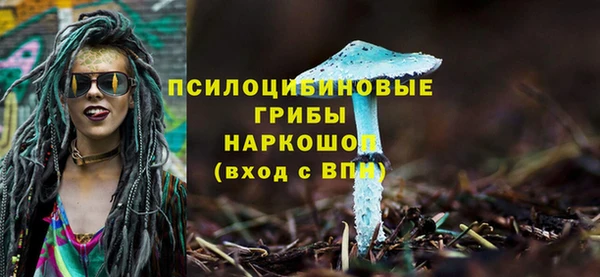 шишки Алексин