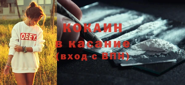 шишки Алексин