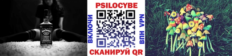 купить наркоту  Оса  OMG ТОР  Галлюциногенные грибы Cubensis 