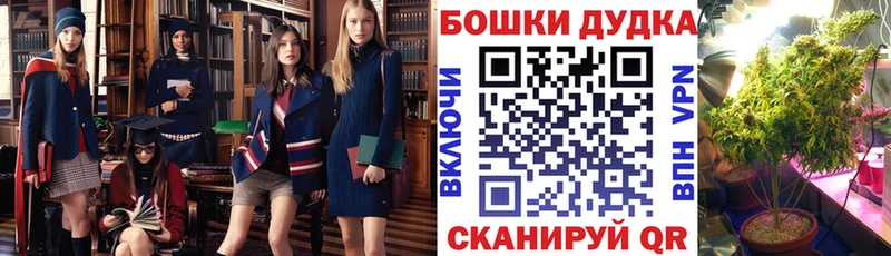 Бошки Шишки Bruce Banner  Оса 